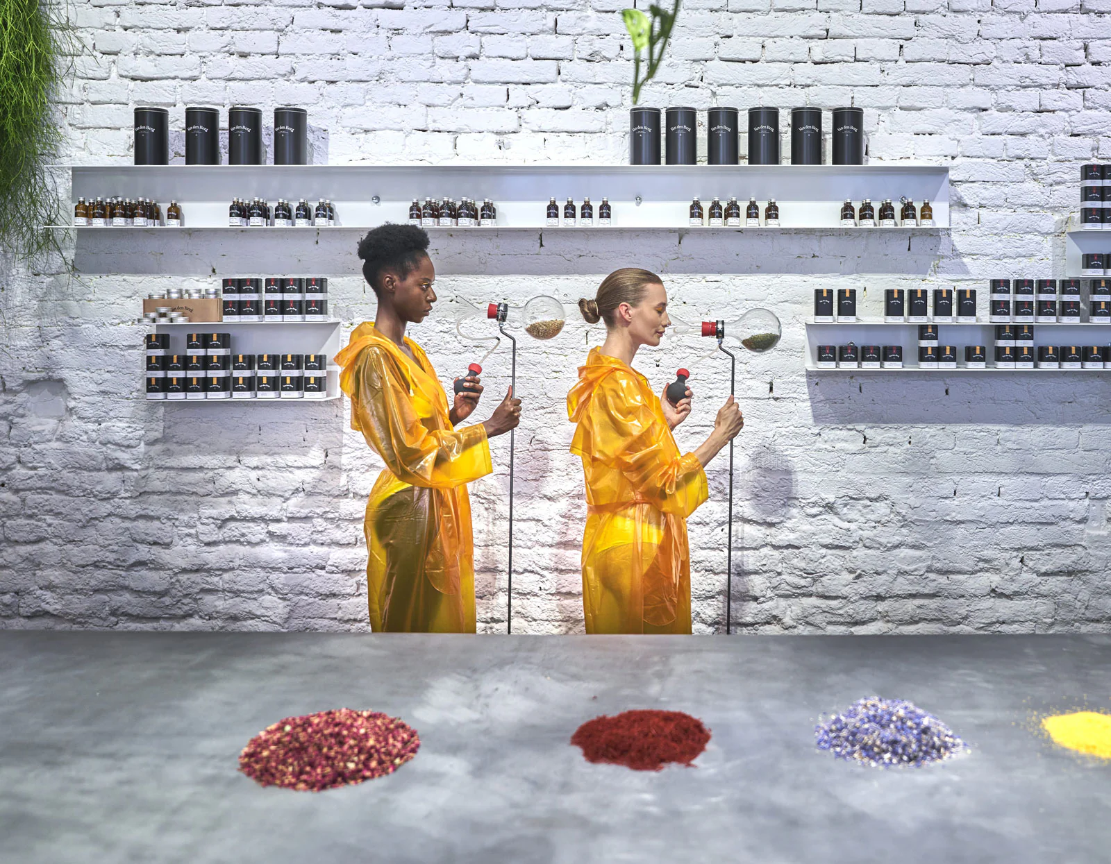 Exklusive Gewürze & feinste Spirituosen